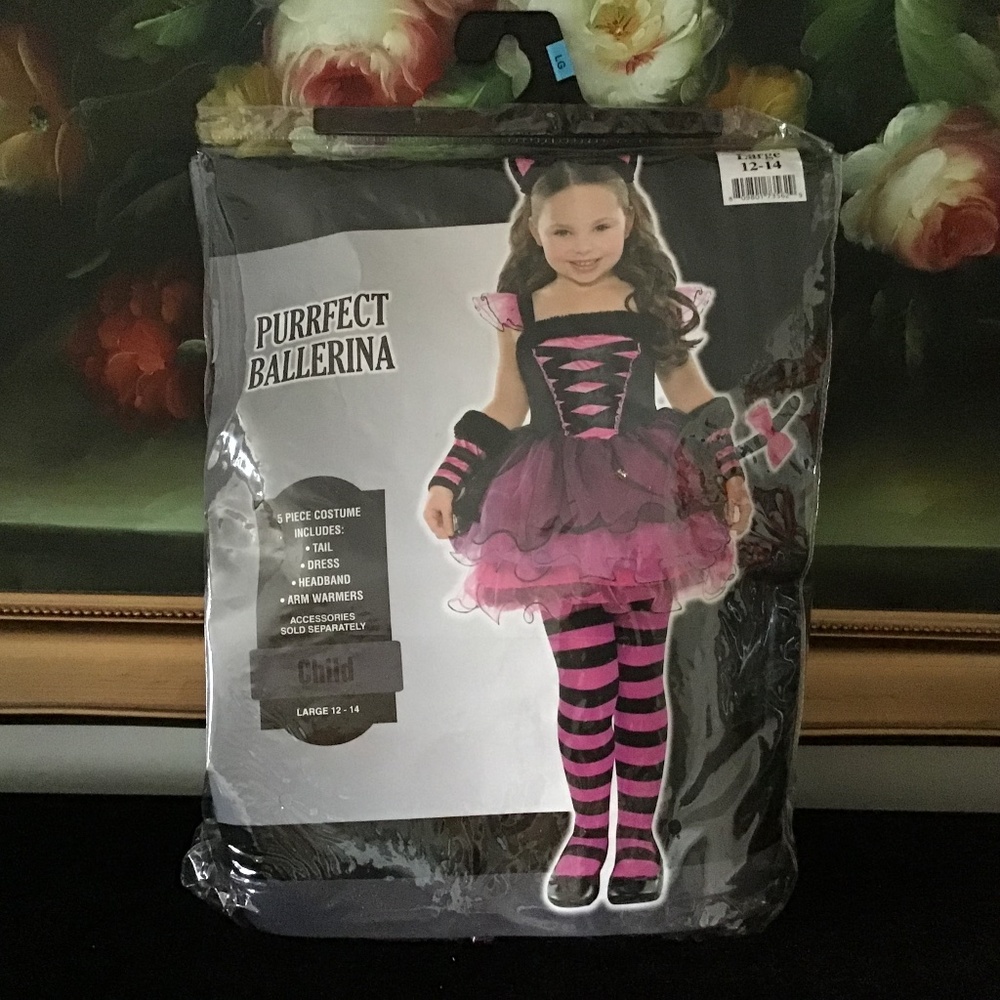 EUC Purrfect Ballerina Girls Halloween Costume Child Large 12-14